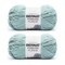 Bernat Forever Fleece Dark Eucalyptus Yarn - 2 Pack of 280g/9.9oz - Polyester - 6 Super Bulky - 194 Yards - Knitting/Crochet